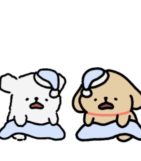 页脚小狗